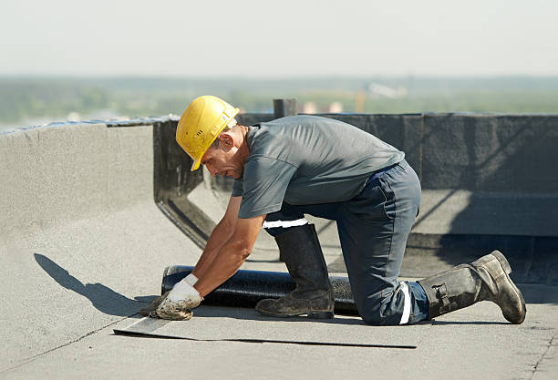 Best Cellulose Insulation in Belmont, PA